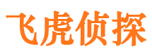 道外市调查公司